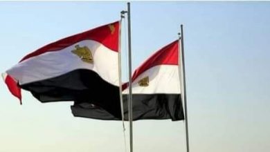 Photo of النائب محمد عبدالله يكشف عن “تعرض 43 مصريا لأزمة كبيرة في العراق” ويطالب الحكومة بالتحرك