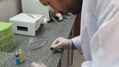 Photo of بدأ التدريب العملي للصيادلة الجدد على اعمال بنوك الدم بالدقهلية