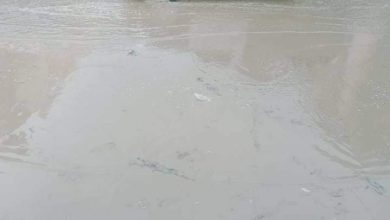 Photo of بالصور…. الأمطار تهاجم قسم شرطة المنتزة