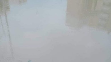 Photo of الأمطار تفصل المعمورة عن الأسكندرية