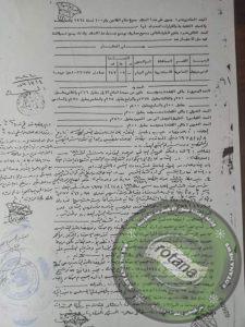 القضاء المصري يحسم الموقف بمنطقة الكينج بالإسكندرية