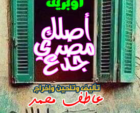 Photo of مدرسة مصرية حكومية تدافع عن الحارة المصرية