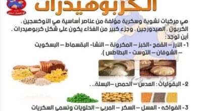 Photo of ماذا تعرف عن اهميه الغذاء والسعرات الحراريه