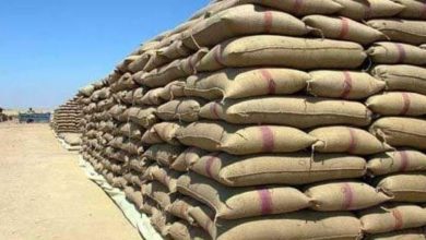Photo of محافظ دمياط : توريد ١٥ ألف طن من أرز الشعير بالمضارب والشون الحكومية