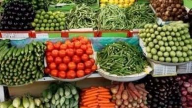 Photo of تعرف على أسعار الخضراوات اليوم السبت الموافق 31 ديسمبر.