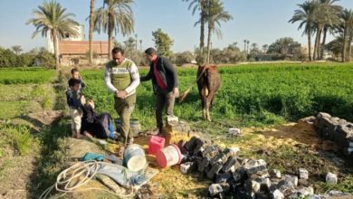 Photo of مديرية الزراعة بالفيوم تم رصد وإزالة 7 حالات تعدى بالبناء المخالف بابشواي 