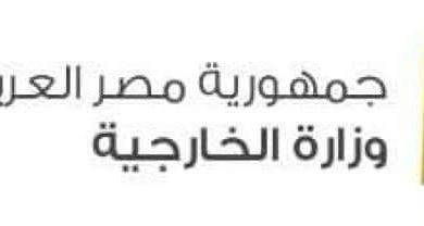 Photo of وزارة الخارجية.. تتابع الحالة الصحية لعدد من المصريين الذين اصيبوا فى حوادث بالخارج