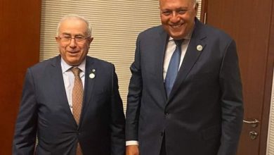 Photo of وزير الخارجية يلتقي مع وزير خارجية الجزائر