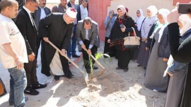 Photo of ” مرزوق ” : يشهد إنطلاق فعاليات المبادرة الرئاسية ١٠٠ مليون شجرة