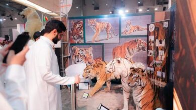 Photo of دب قطبي ونمور سيبيرية في معرض الصقور والصيد السعودي الدولي