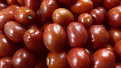 Photo of ٧.٥ جنيه الطماطم تعرف علي أسعار الخضروات والفاكهة بسوق فارسكور الحضاري