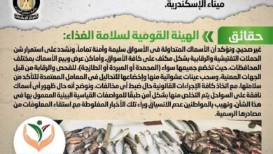 Photo of شائعة:  تداول أسماك نافقة بالأسواق بعد ظهورها على سواحل ميناء الإسكندرية