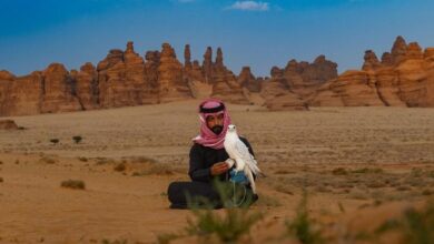 Photo of العُلا بطبيعتها الخلّابة وأجوائها الشتوية تستعد لاستقبال الصقّارين في كأس العلا للصقور